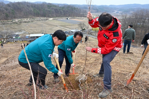 제81회 식목일 기념 나무심기 행사 열어…장수면 화기리 일원서 산벚나무 ...