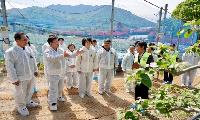 사과 주산지 경북, 과수화상병 차단 총력 대응