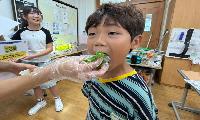 지구 구하는 초록 쌈밥, ‘맛보고Farm!’ 시식 행사 운영